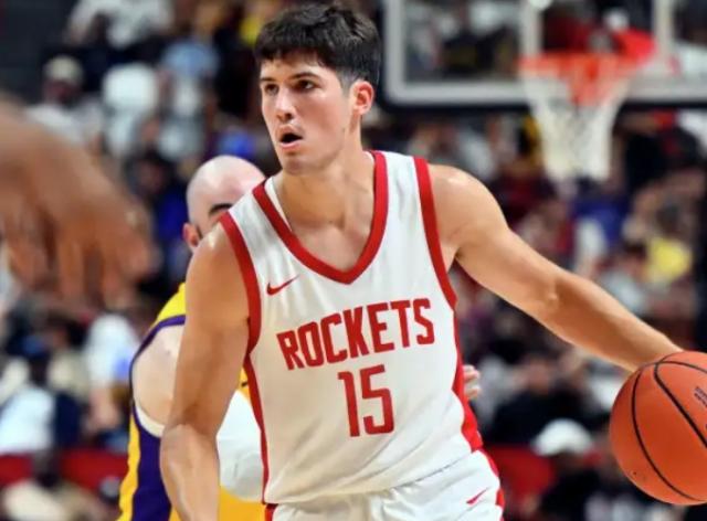 组织有效进, 方面的潜力, 短板